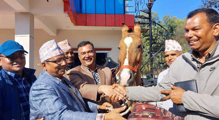 घोडा चढेर पार्क घुम्न पाईने