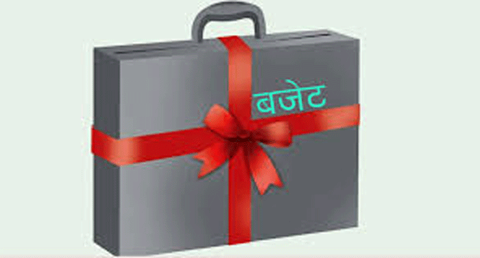 बजेटको आकार १७ खर्ब ५१ अर्ब ३१ करोड रुपैयाँ
