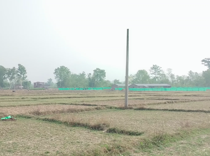 १० बर्ष भयो पोल गाडेको तर बत्ती आयन