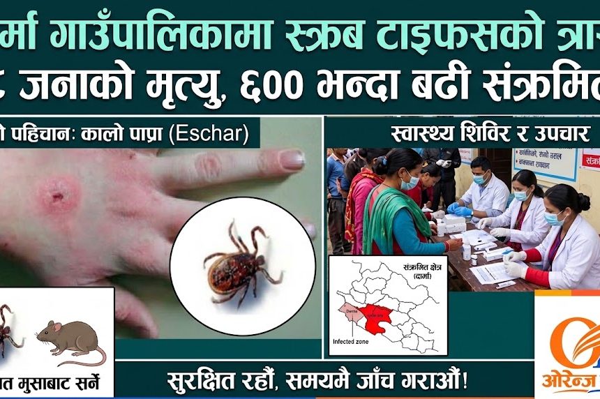 सल्यानको दार्मामा स्क्रब टाइफसको प्रकोप: थप दुईजनाको मृत्यु, मृतकको संख्या ८ पुग्यो